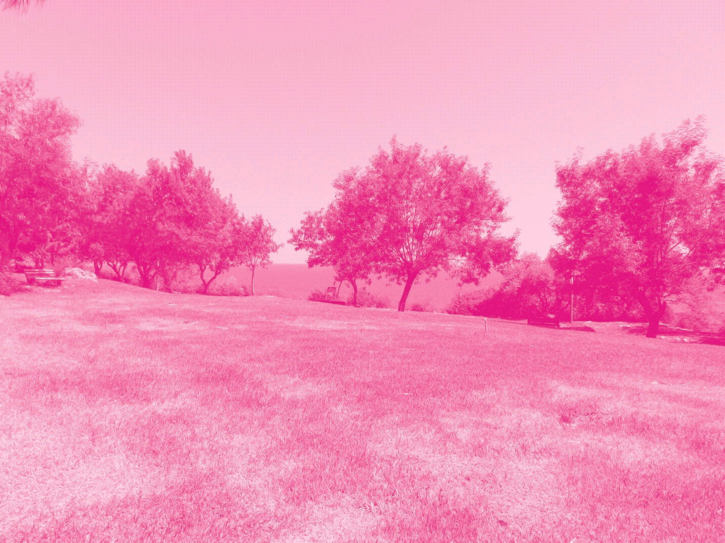 Mehmet Uysal Working