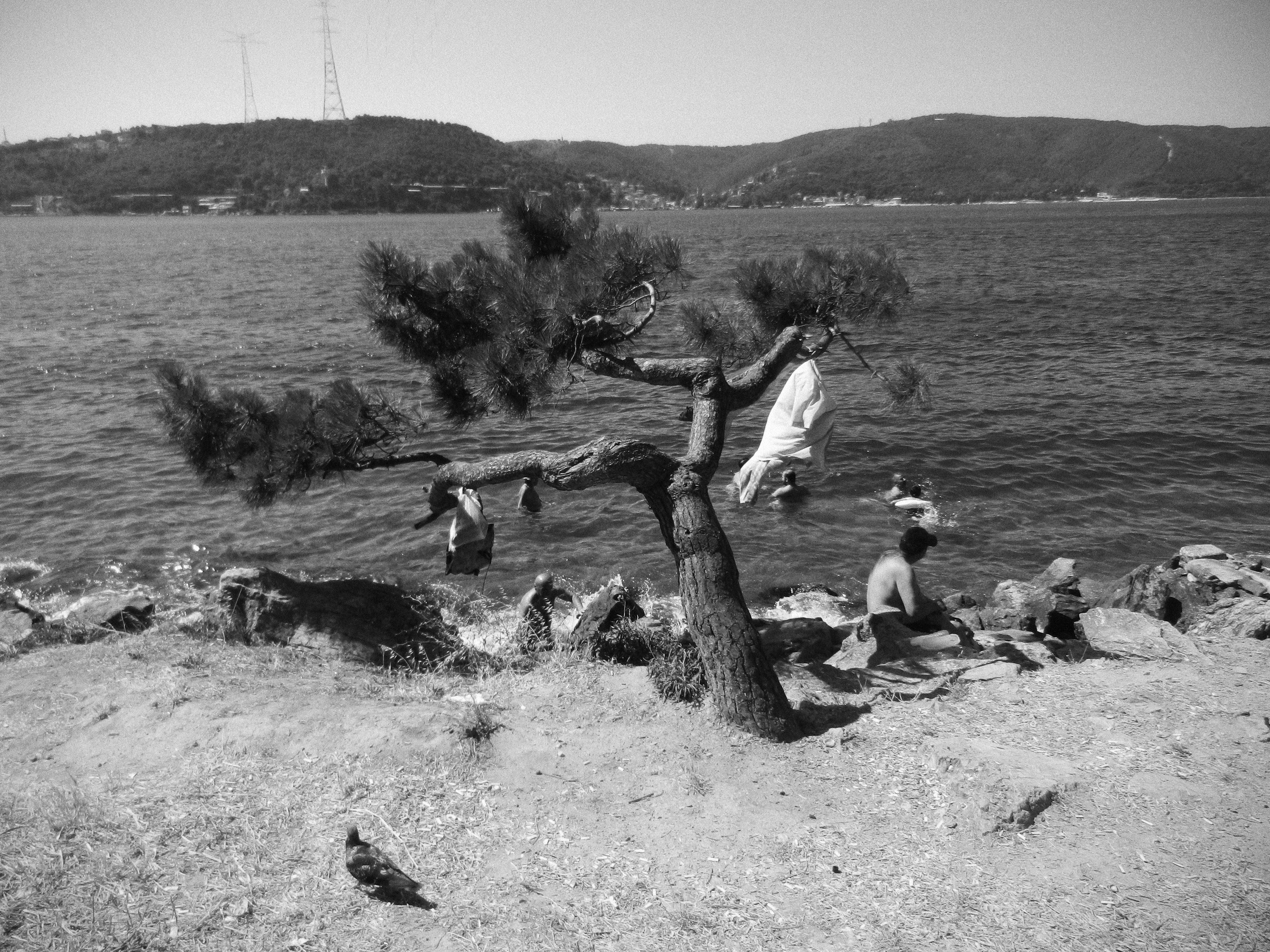 joy of swimming in the bosphorus